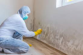 Hobart, WI Mold Remediation Company